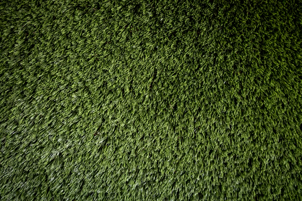 Lawn Care in Washington, DC
