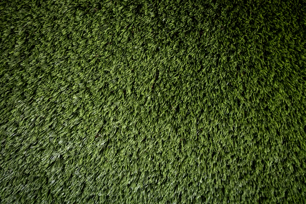 Close up green grass texture