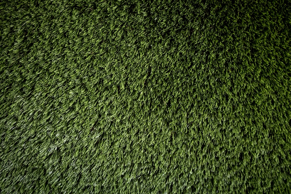 a close up of a green grass texture