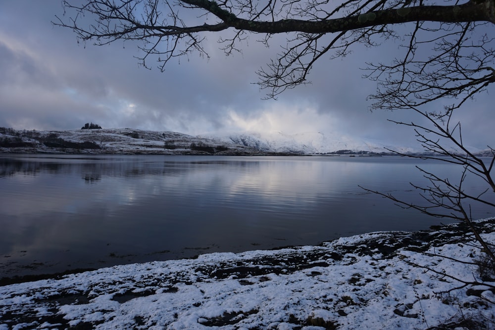 a lake with snow on the ground and a tree in the foreground