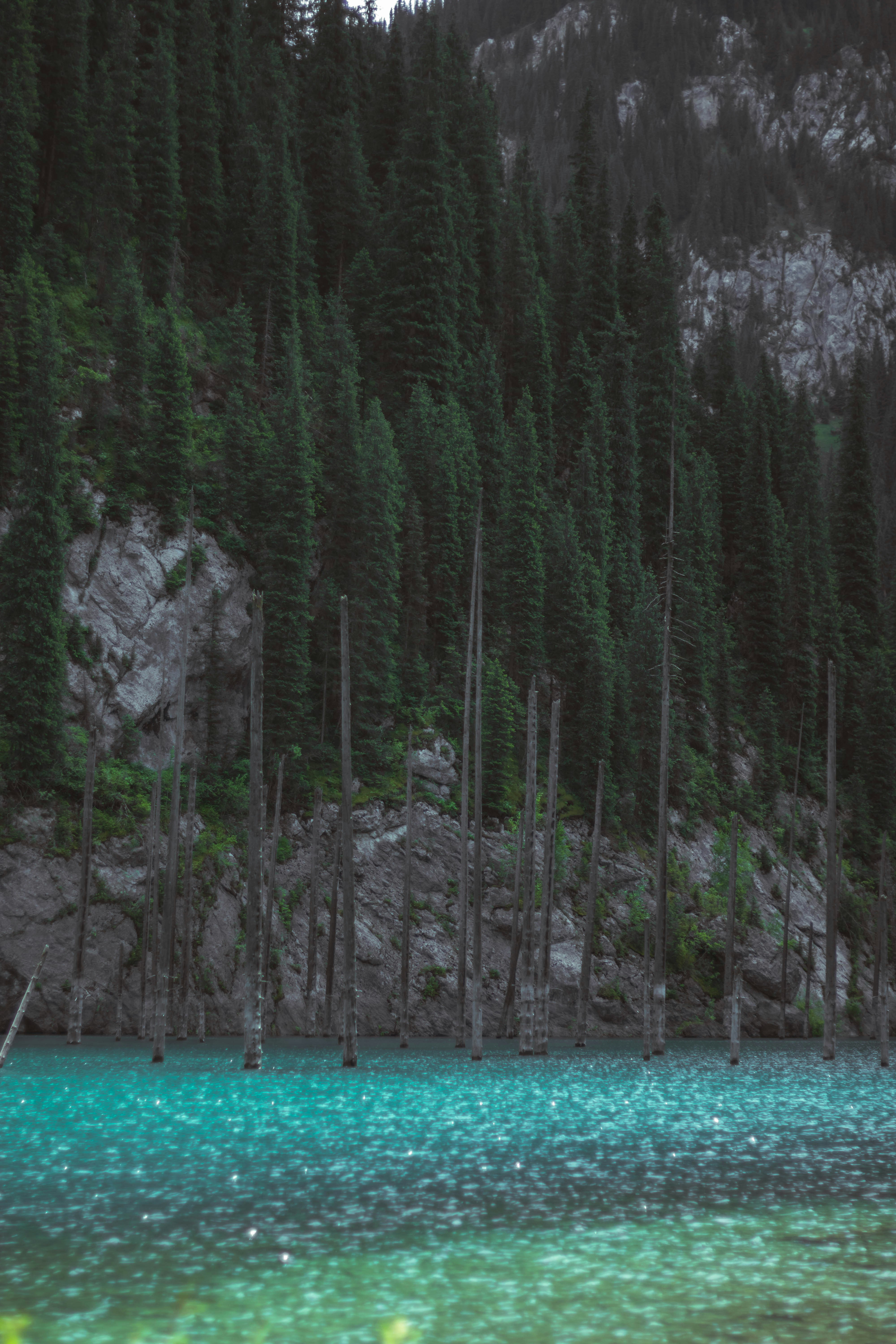 Photo by carpediem_ann