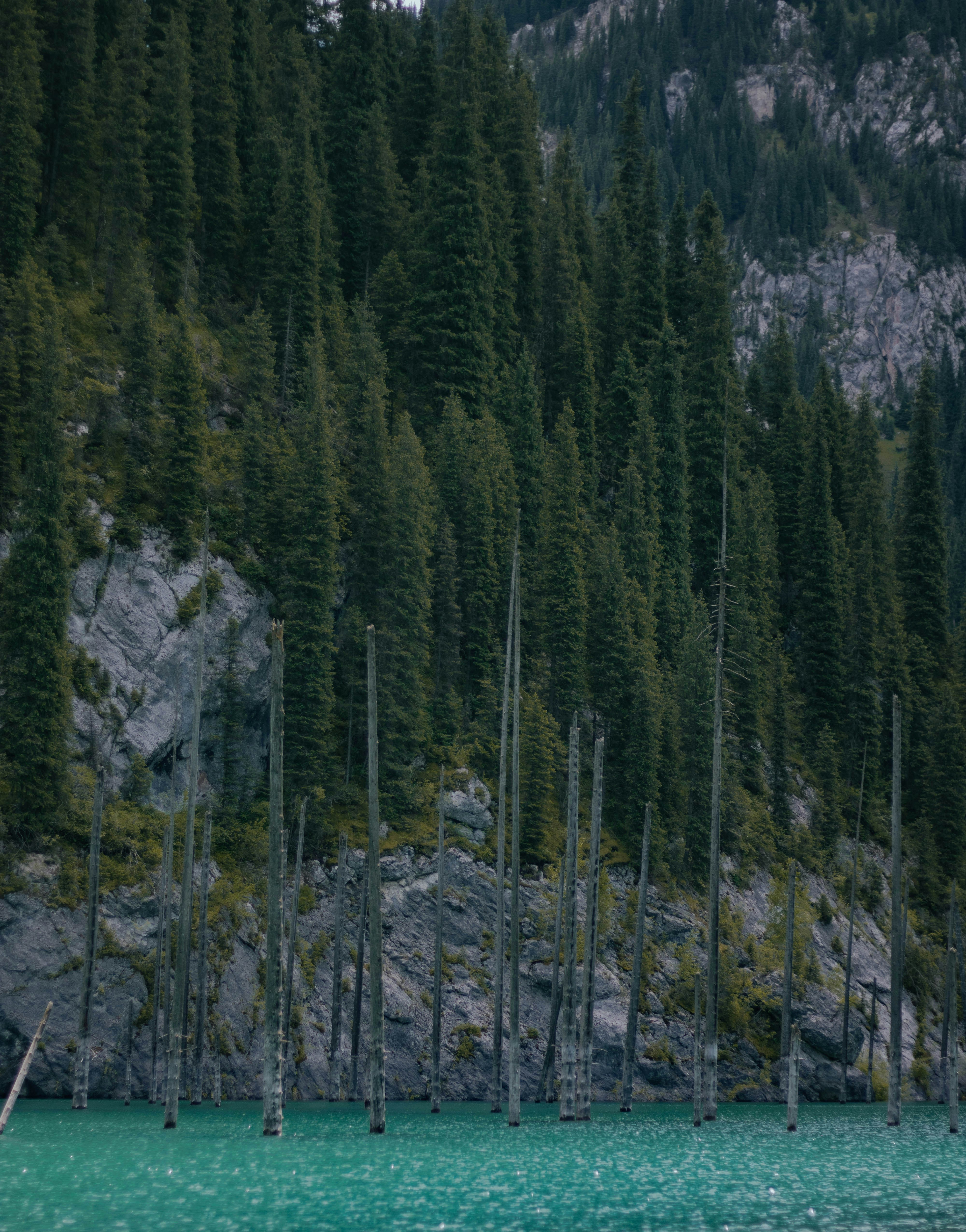 Photo by carpediem_ann