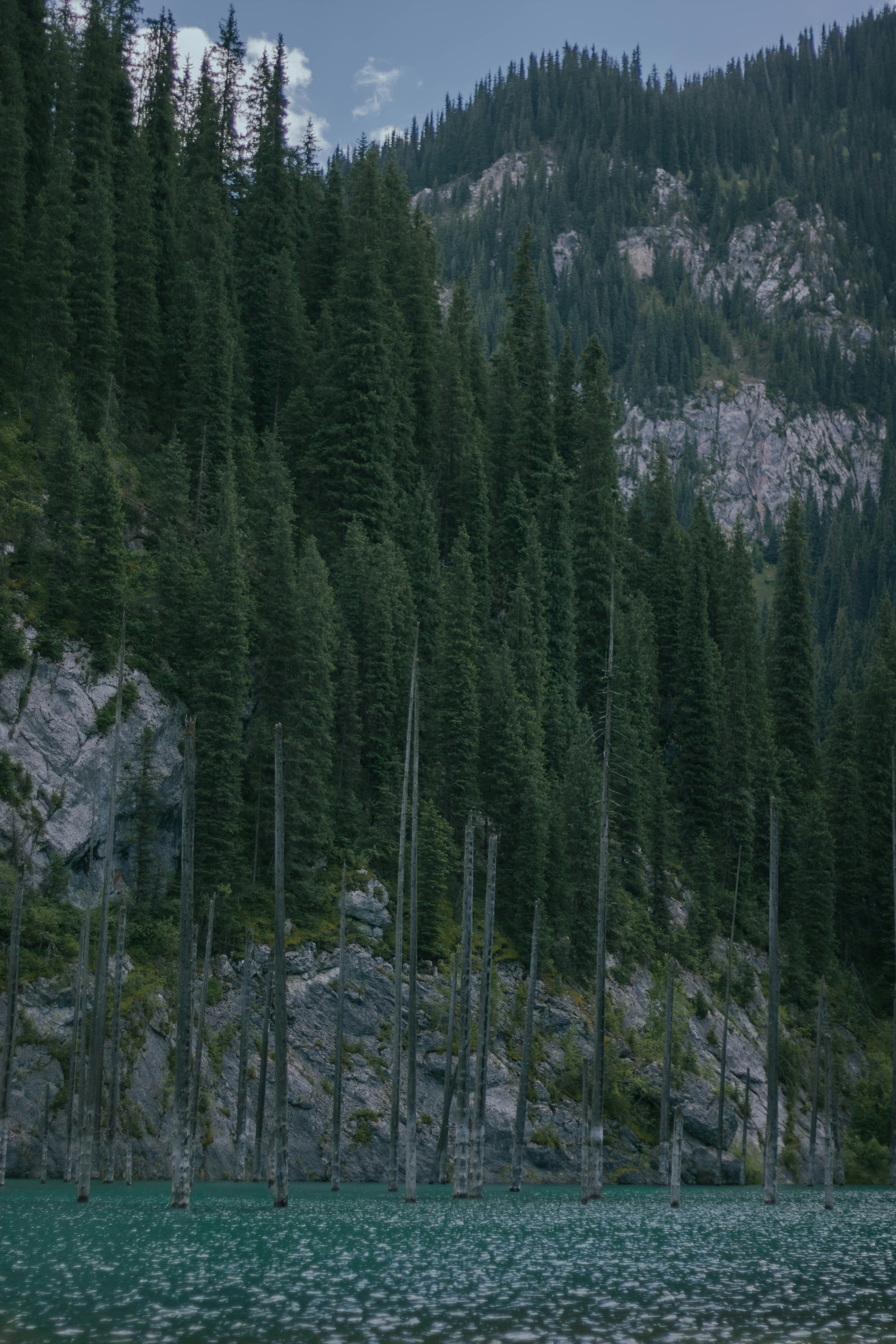 Photo by carpediem_ann