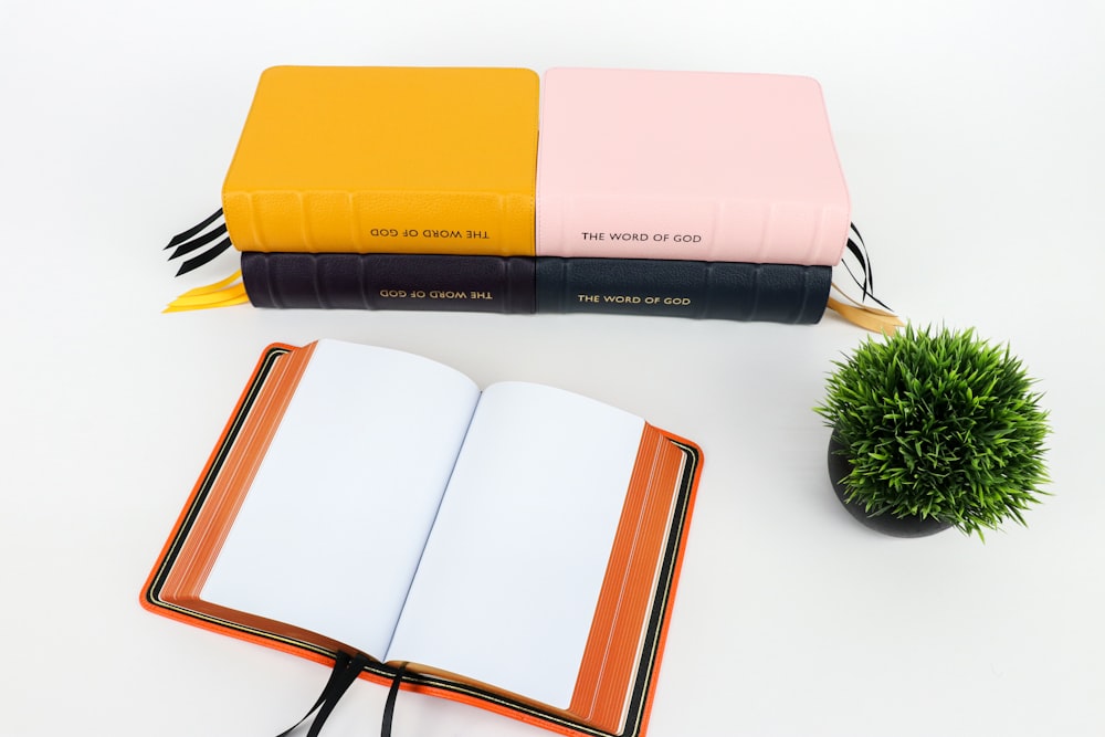 a notebook with a pen and a small potted plant