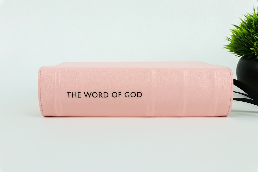 a pink tube with the word of god on it next to a potted plant