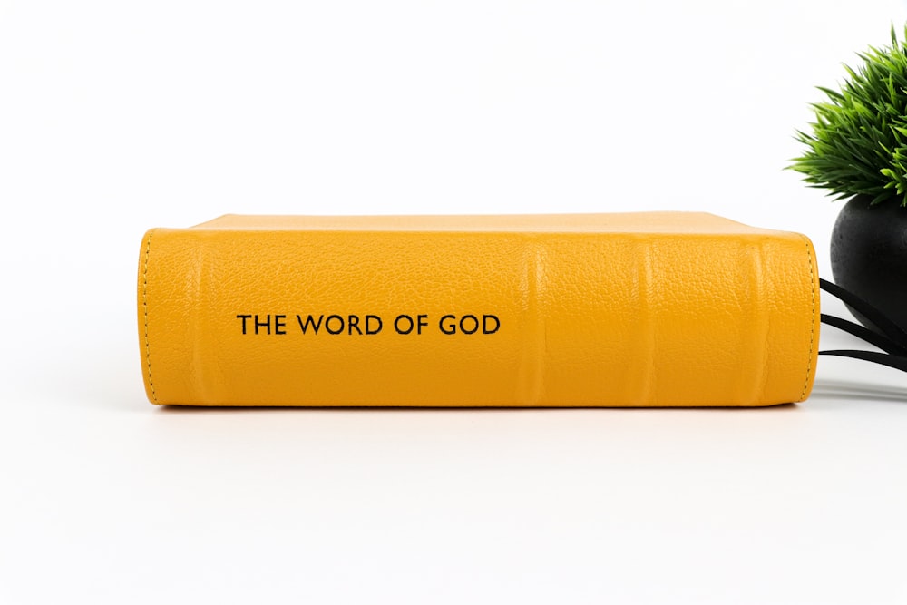a yellow book with the word of god written on it