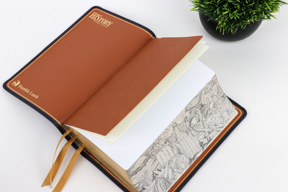 an open book sitting on top of a table next to a potted plant