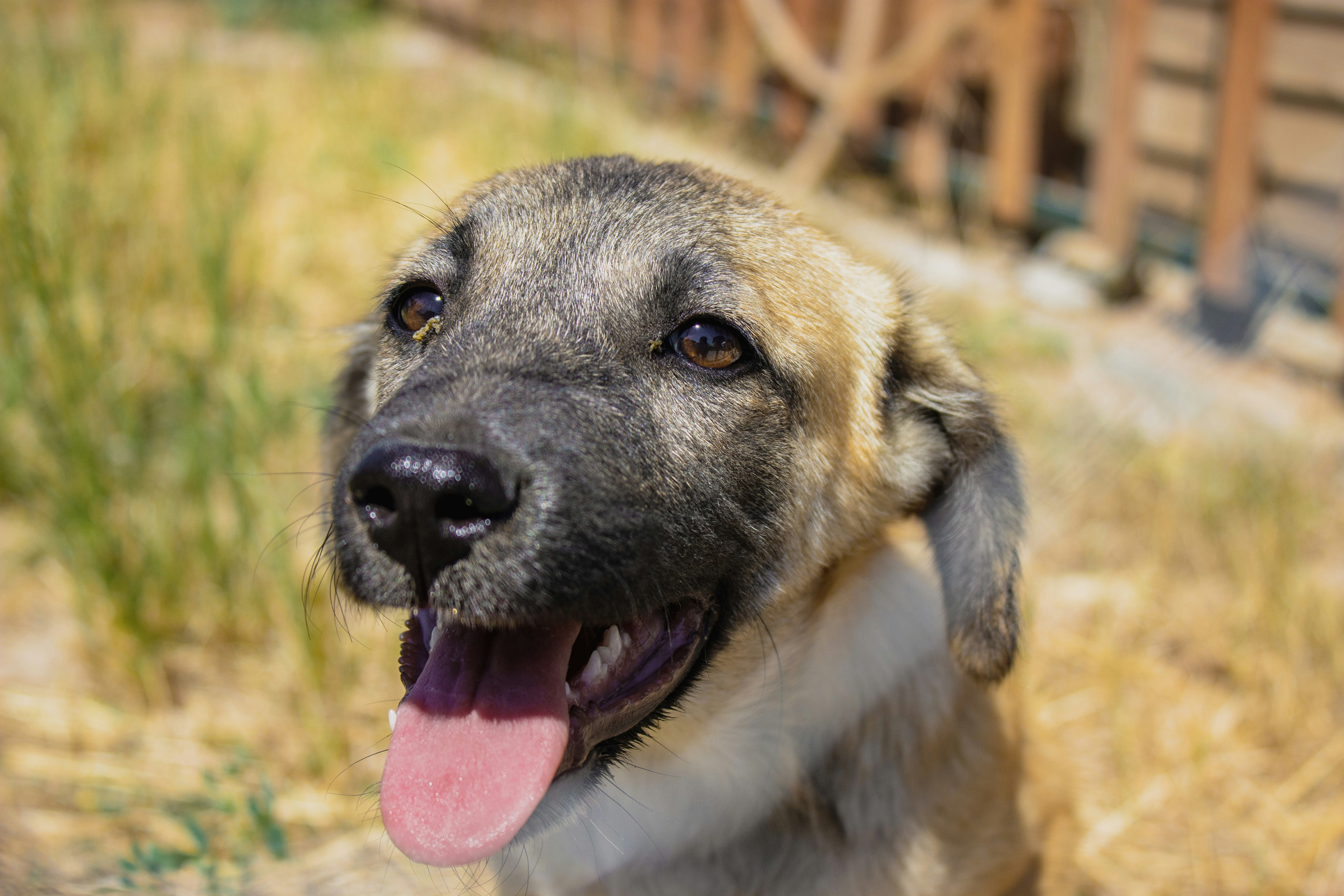 Photo by ahmethakansolak