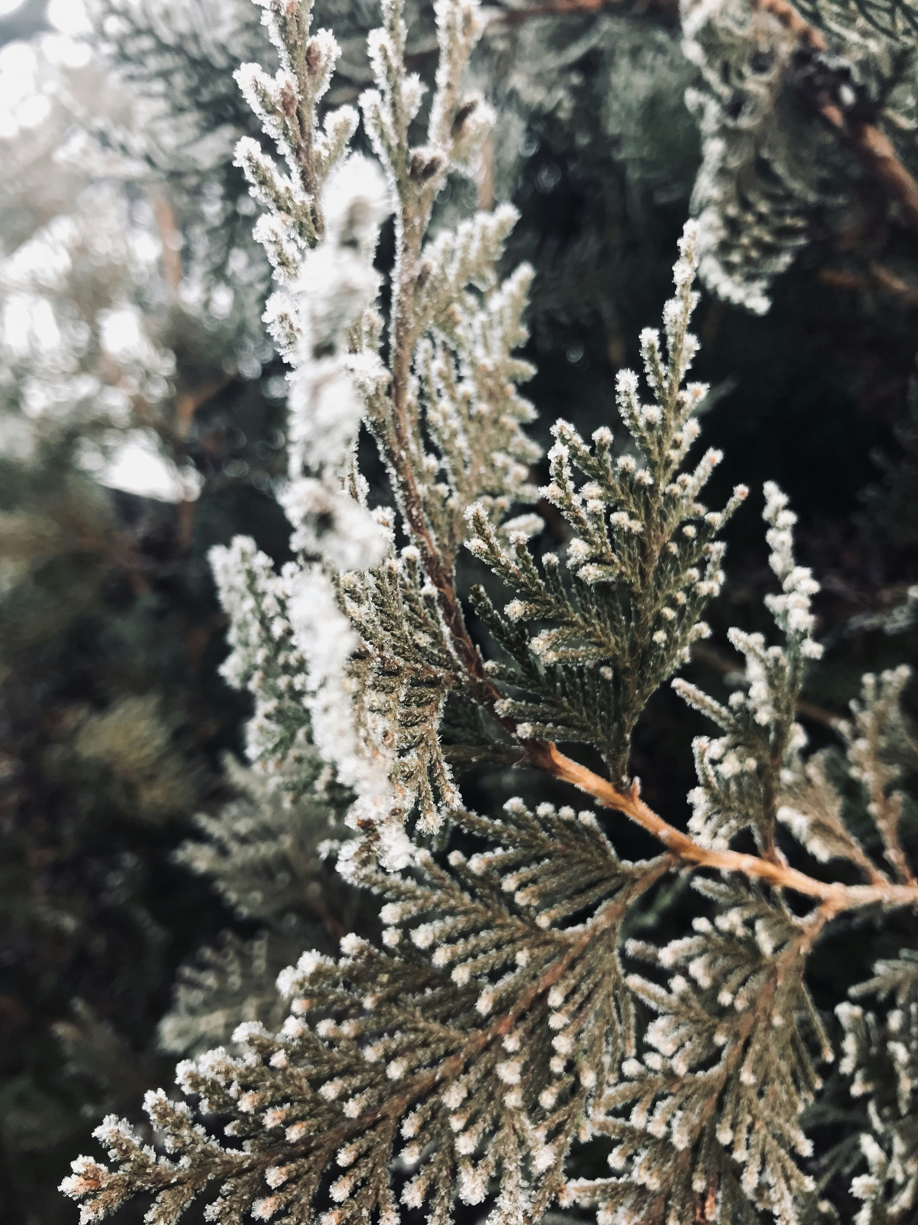 Photo by robotkab_dora