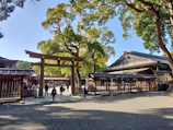 A serene temple courtyard in Kyoto with visitors quietly exploring its historic beauty.