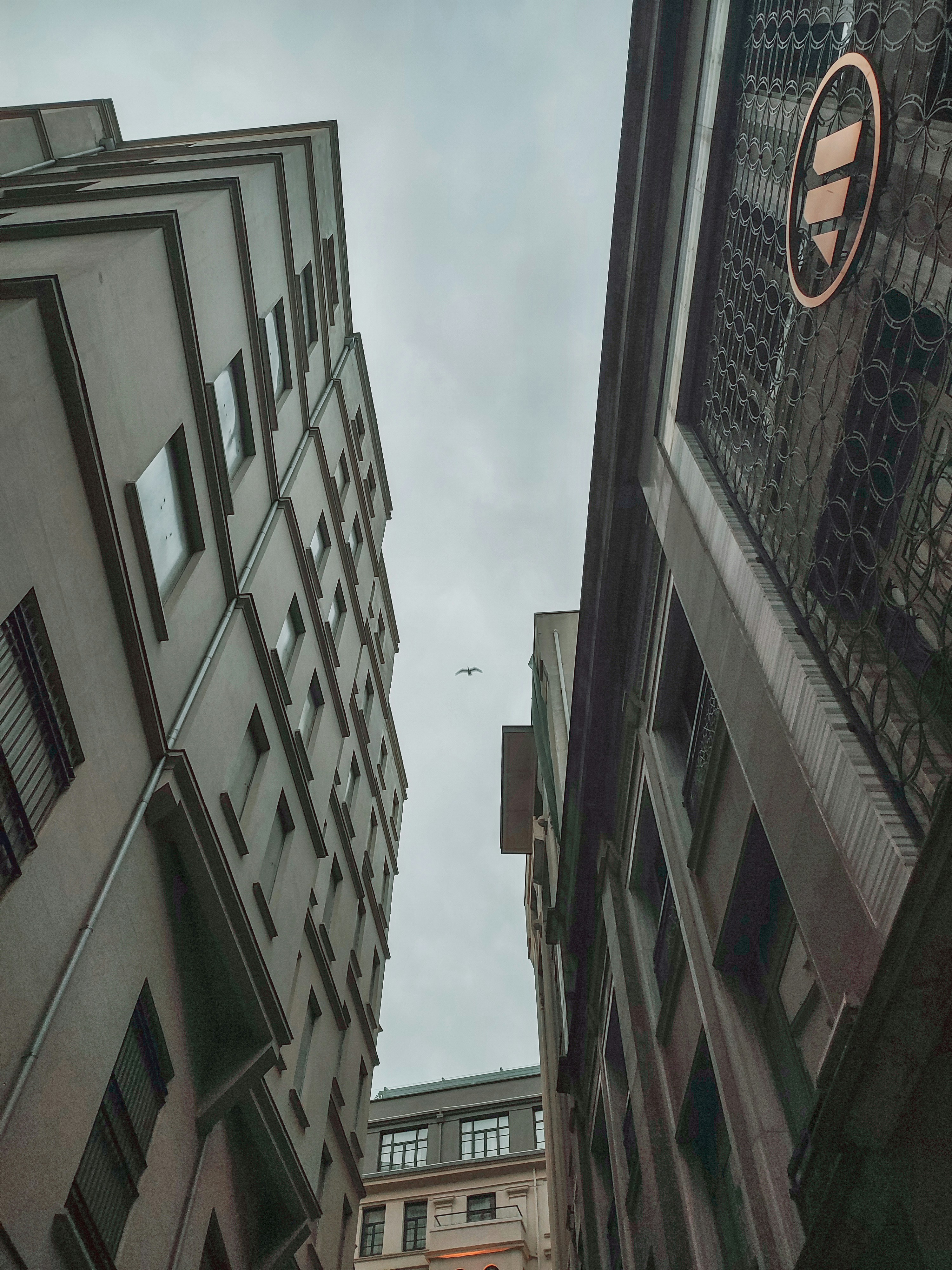 Photo by mydeepphotos