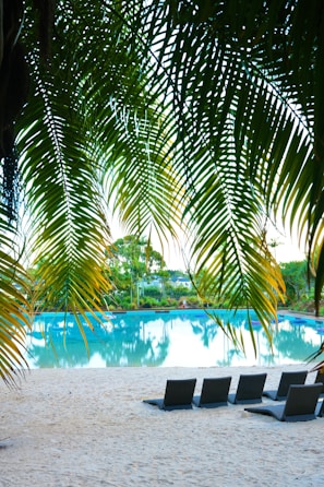 a row of lounge chairs sitting on top of a sandy beach
