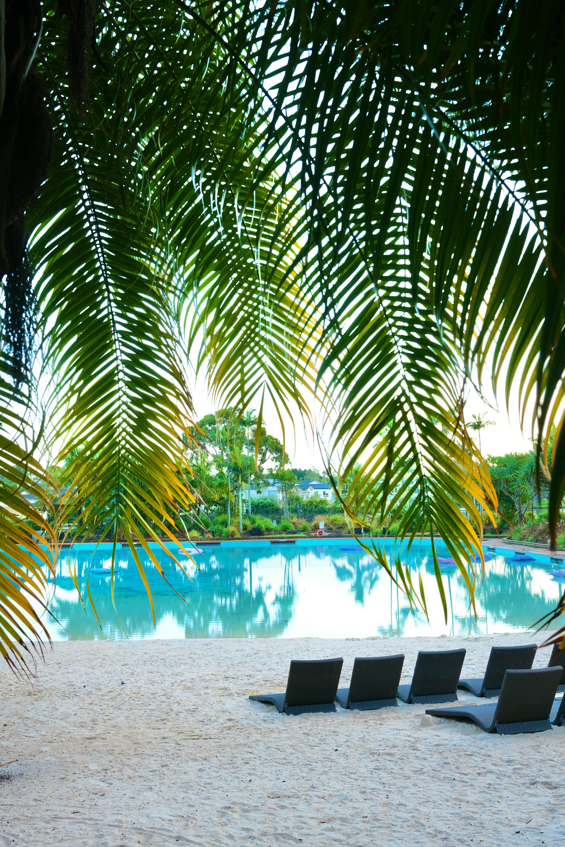 a row of lounge chairs sitting on top of a sandy beach