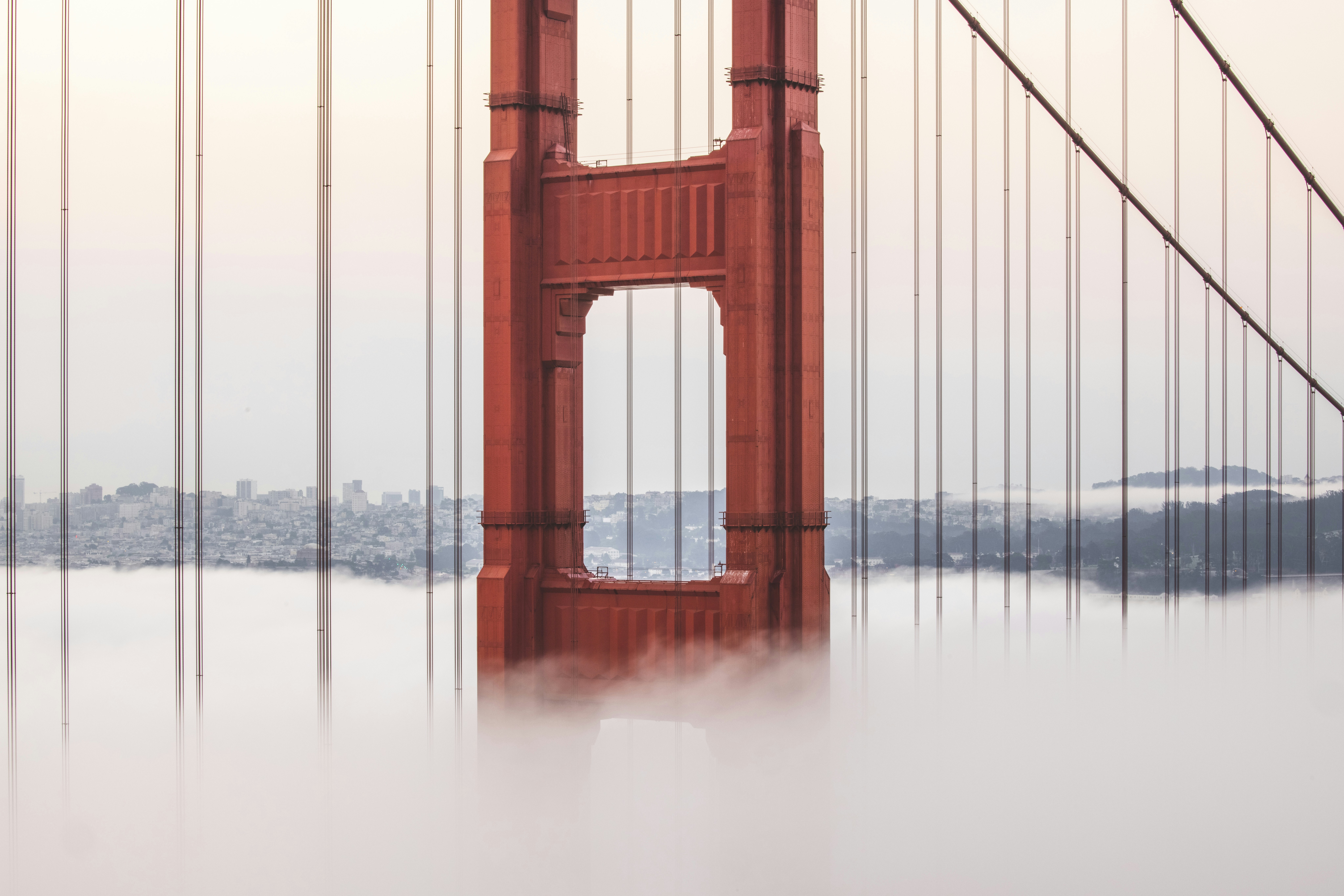 Photo by leo_visions_