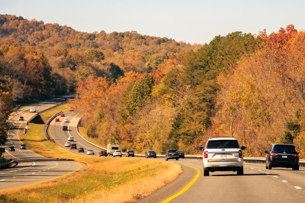 a group of cars driving down a road next to a forest