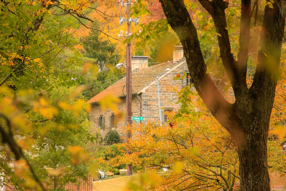 a house surrounded by trees in the fall