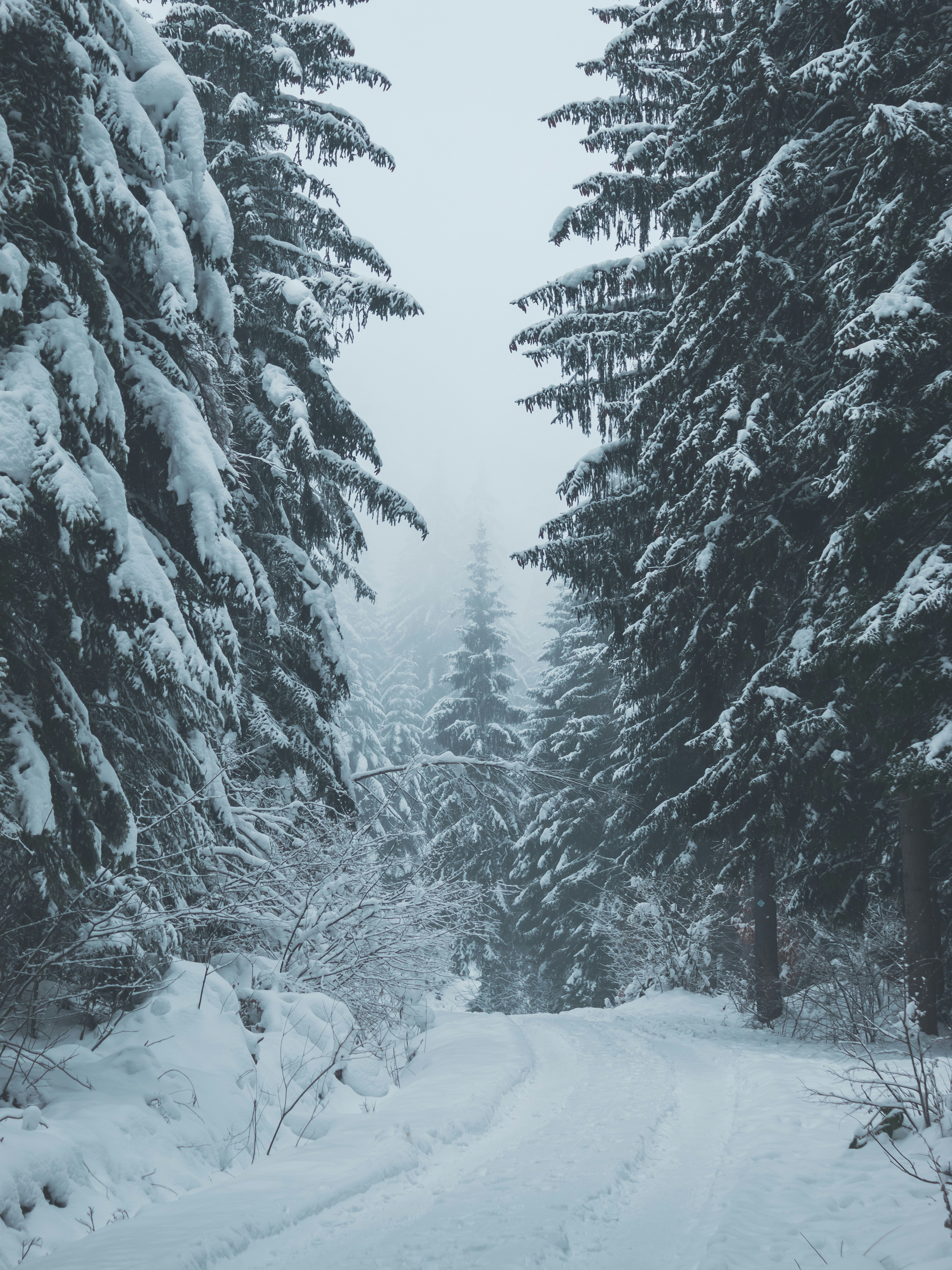 Photo by sporisevicphotography