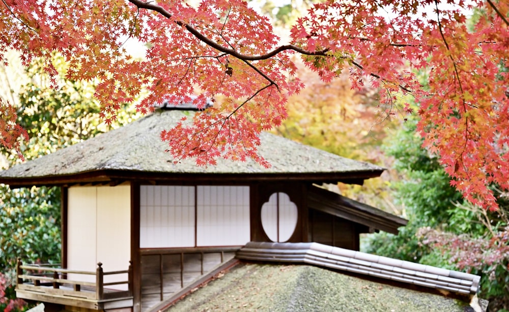 a small building with a wooden roof and a tree with red leaves