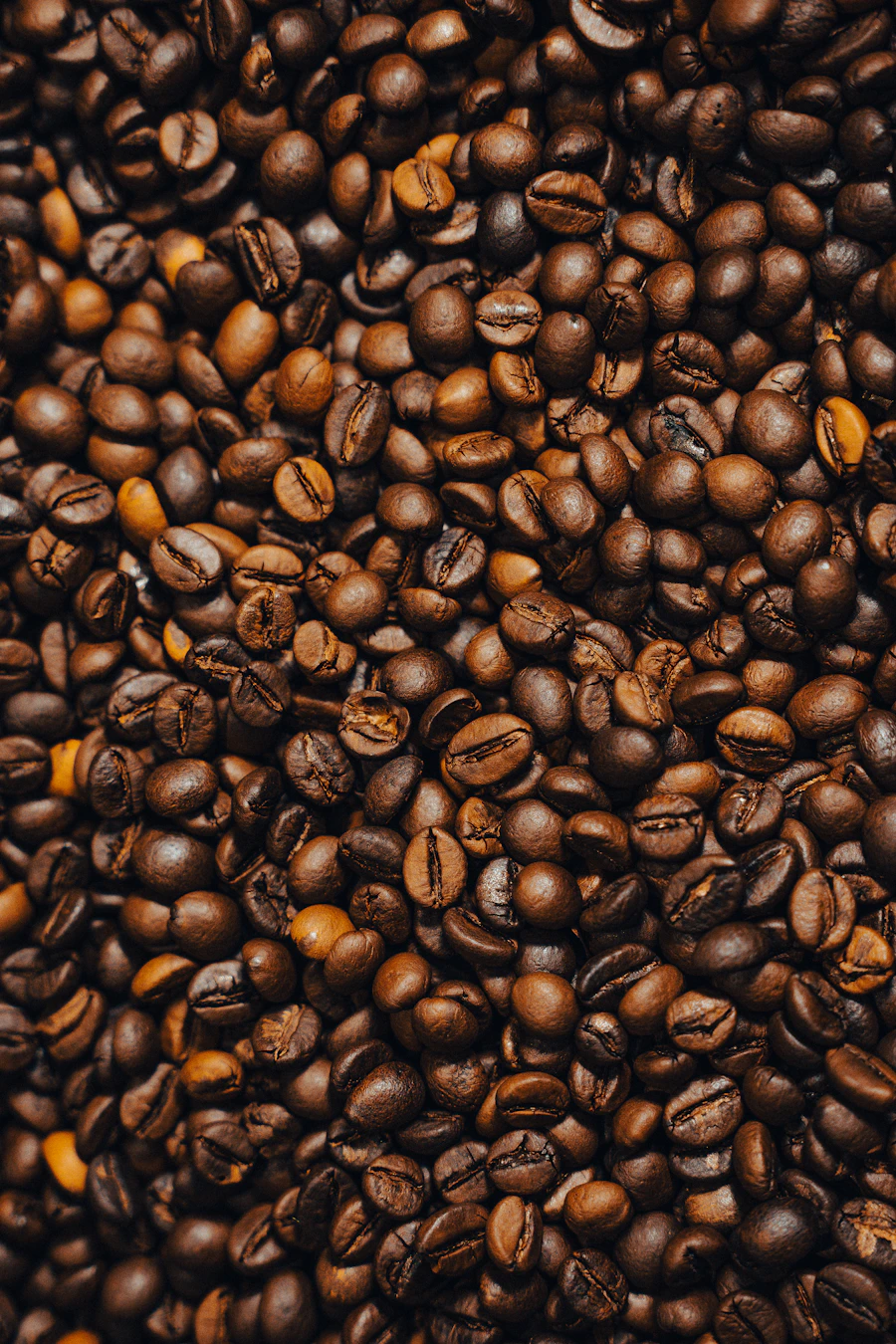 Arabika single origin