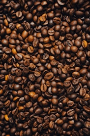A close-up view of numerous coffee beans, showing their rich, dark brown color and glossy texture.