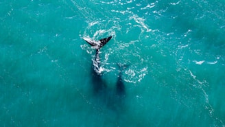a person riding a surfboard in the middle of the ocean