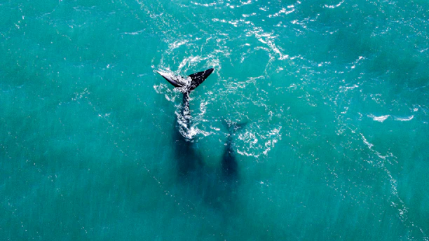 a person riding a surfboard in the middle of the ocean
