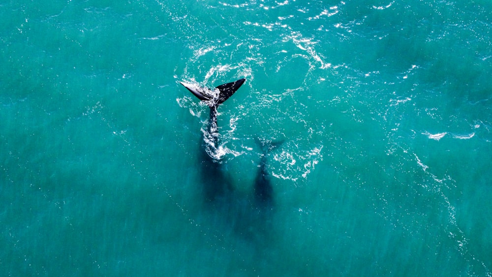 a person riding a surfboard in the middle of the ocean