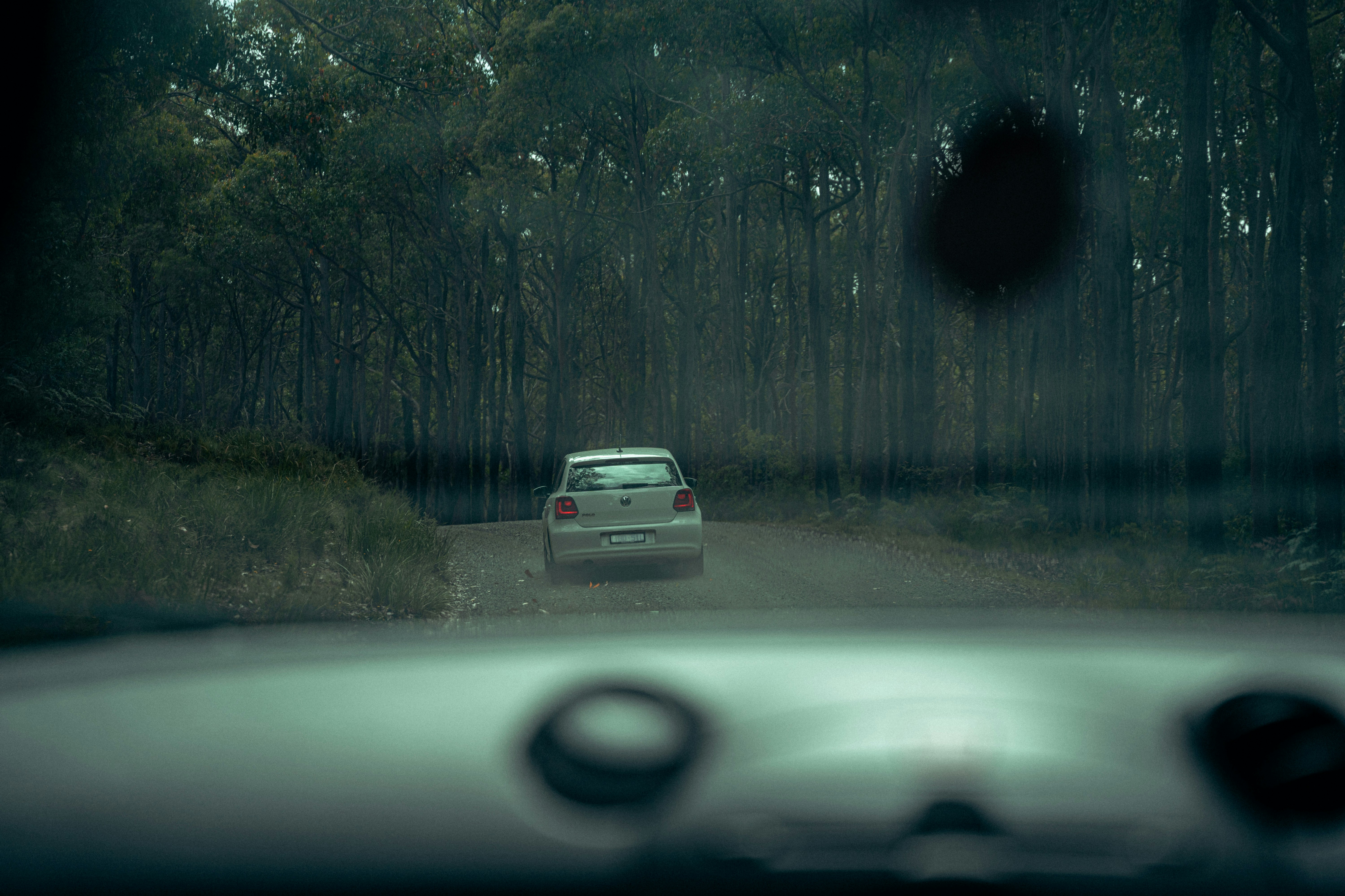 Photo by yigitarisoy