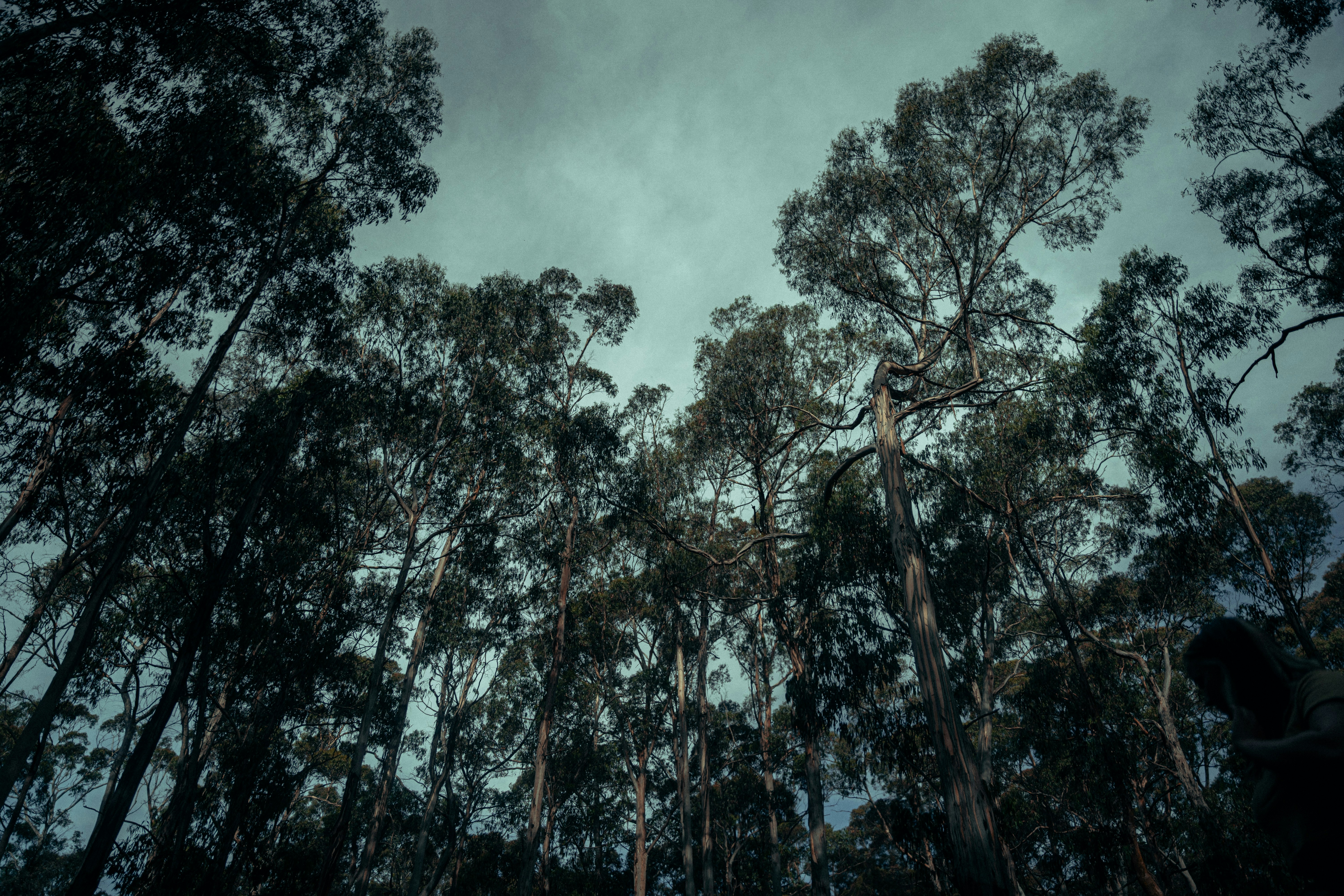 Photo by yigitarisoy