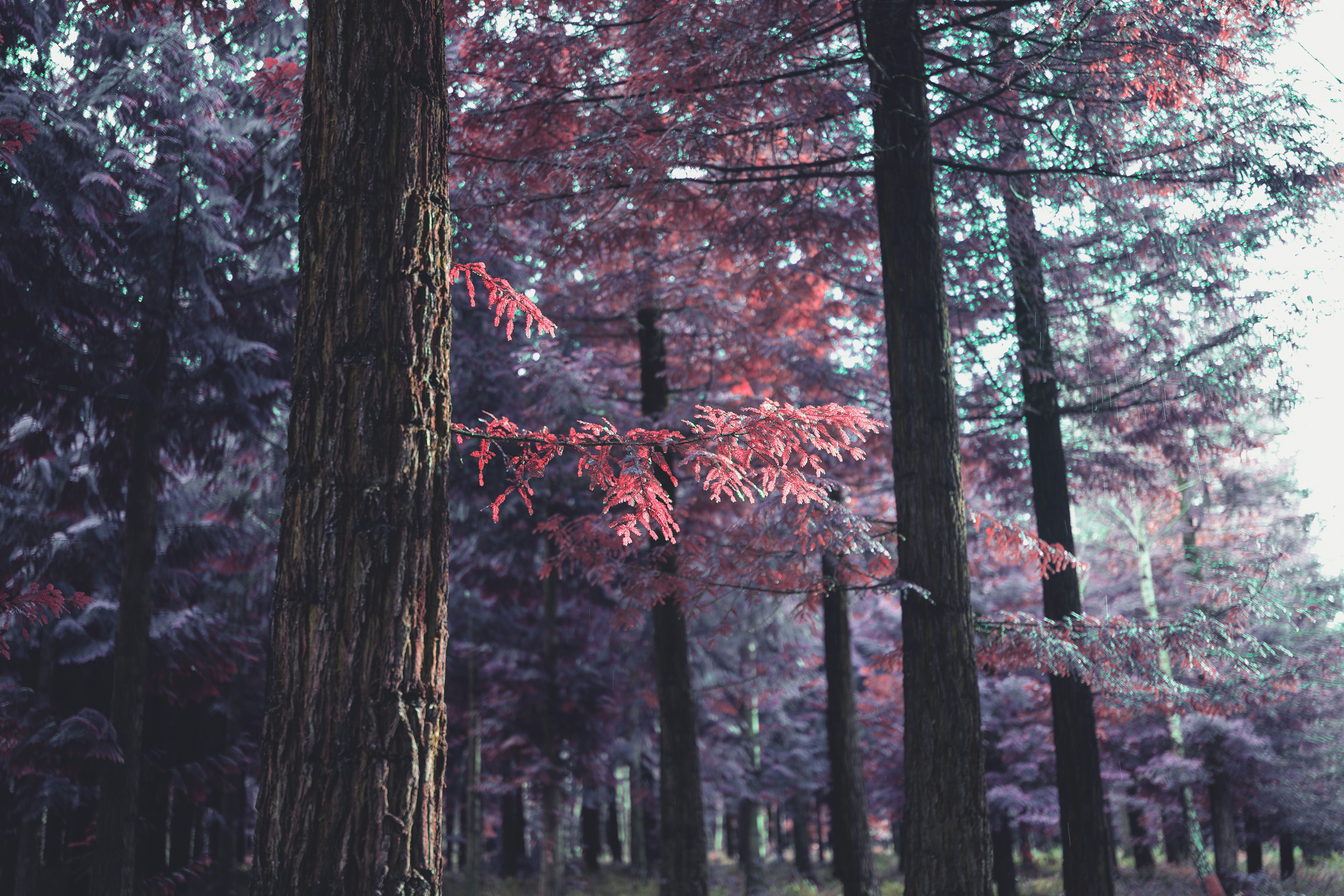 Photo by elmartinbaron