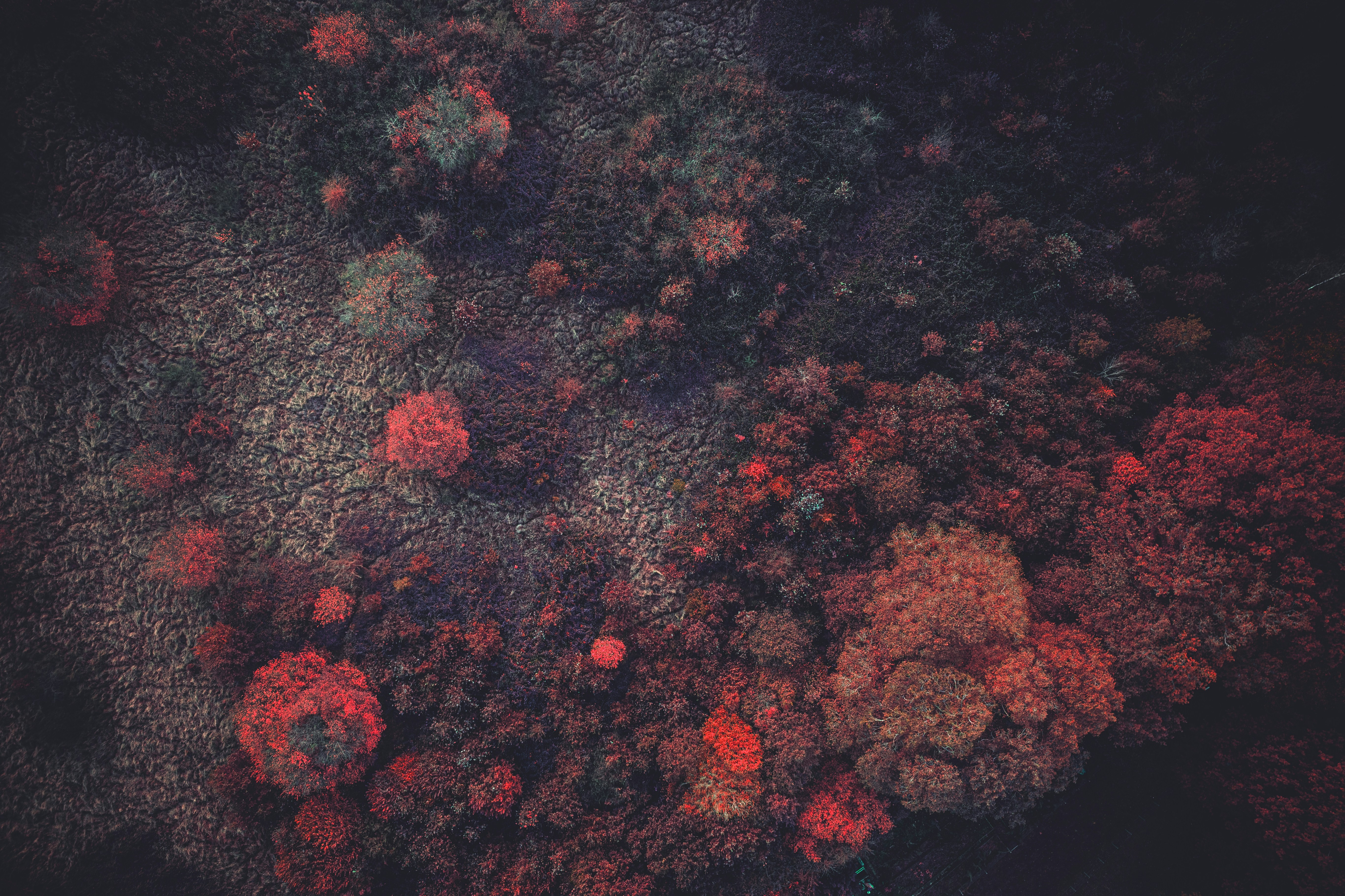 Photo by elmartinbaron