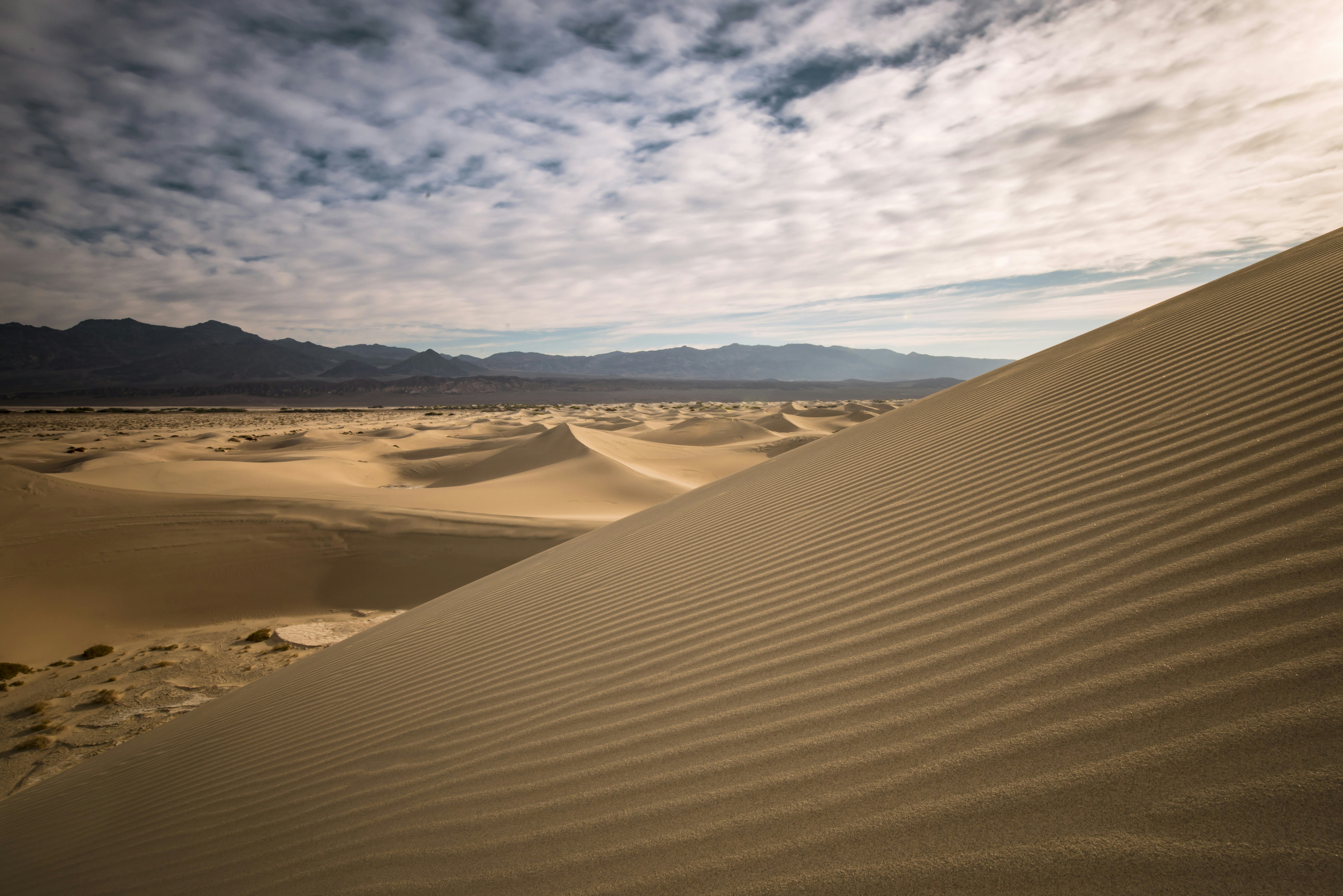 Photo by leo_visions_