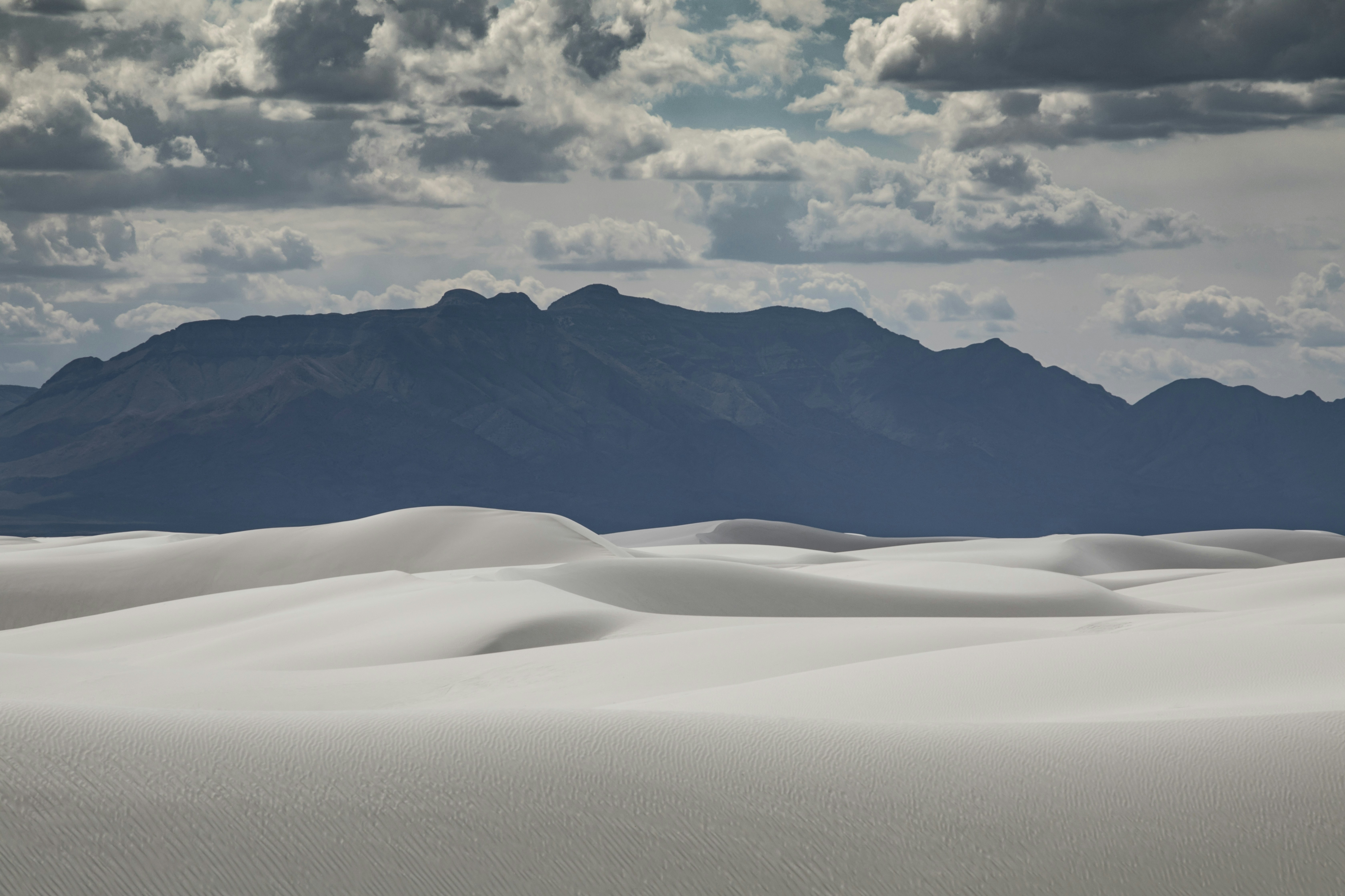 Photo by leo_visions_