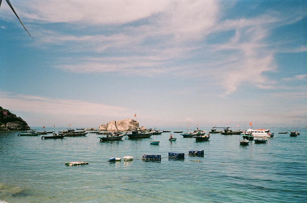 Un grupo de barcos flotando sobre un cuerpo de agua