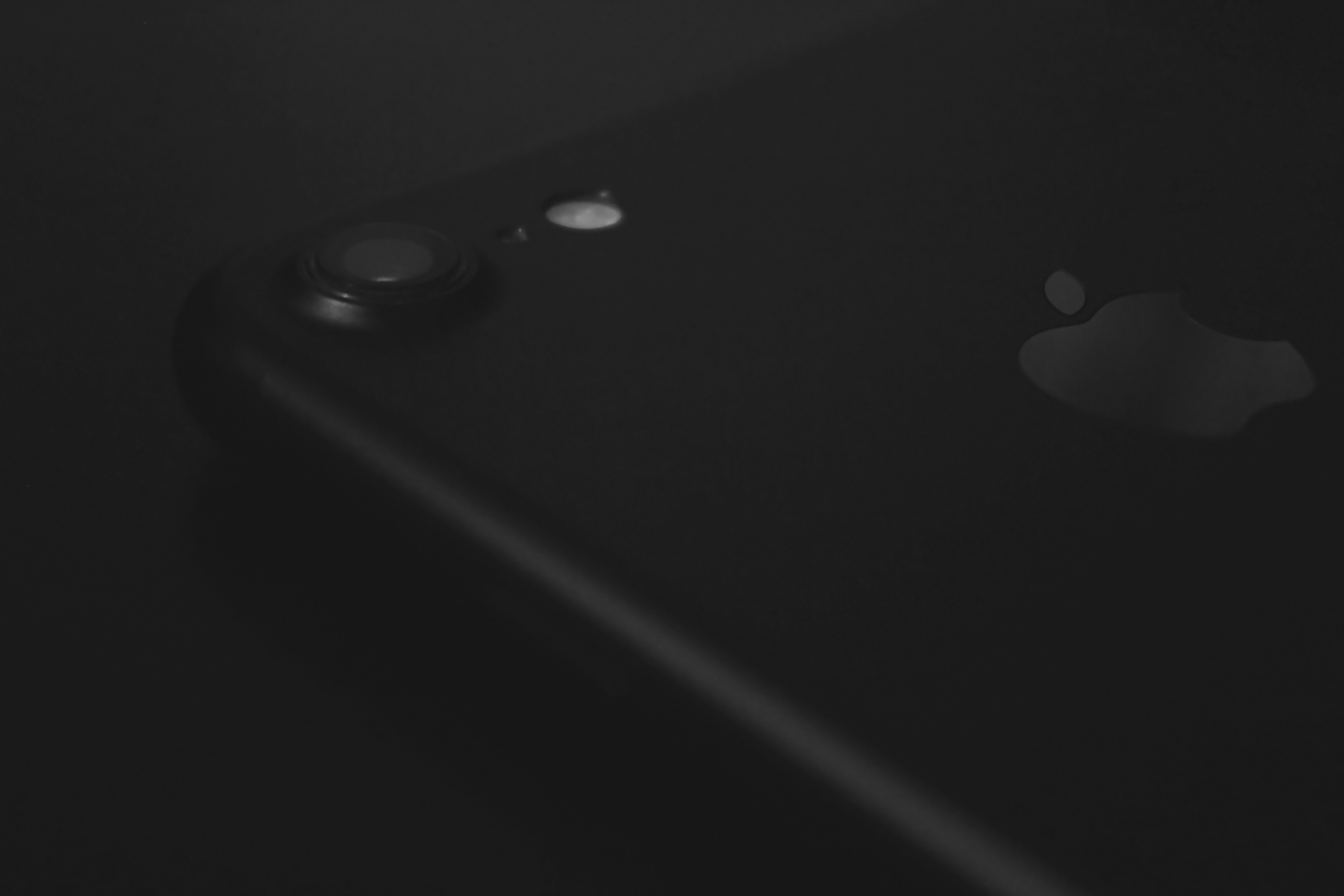 Photo by tariqmahmudnaim