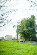 A rural road leads through a green field bordered by tall trees and bushes. A truck drives along the road, passing beneath power lines. In the background, a cluster of small buildings is visible under a cloudy sky.