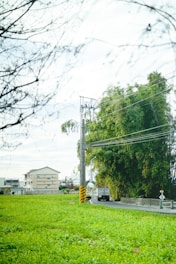 A rural road leads through a green field bordered by tall trees and bushes. A truck drives along the road, passing beneath power lines. In the background, a cluster of small buildings is visible under a cloudy sky.