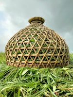 A woven bamboo or wicker basket placed on a grass-covered field under a cloudy sky. The basket has a dome shape with a detailed lattice pattern and is filled with greenery, blending into the vibrant grass below.