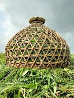 A woven bamboo or wicker basket placed on a grass-covered field under a cloudy sky. The basket has a dome shape with a detailed lattice pattern and is filled with greenery, blending into the vibrant grass below.