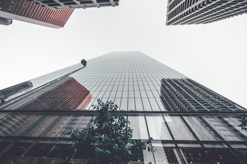 looking up at a tall skyscraper in a city