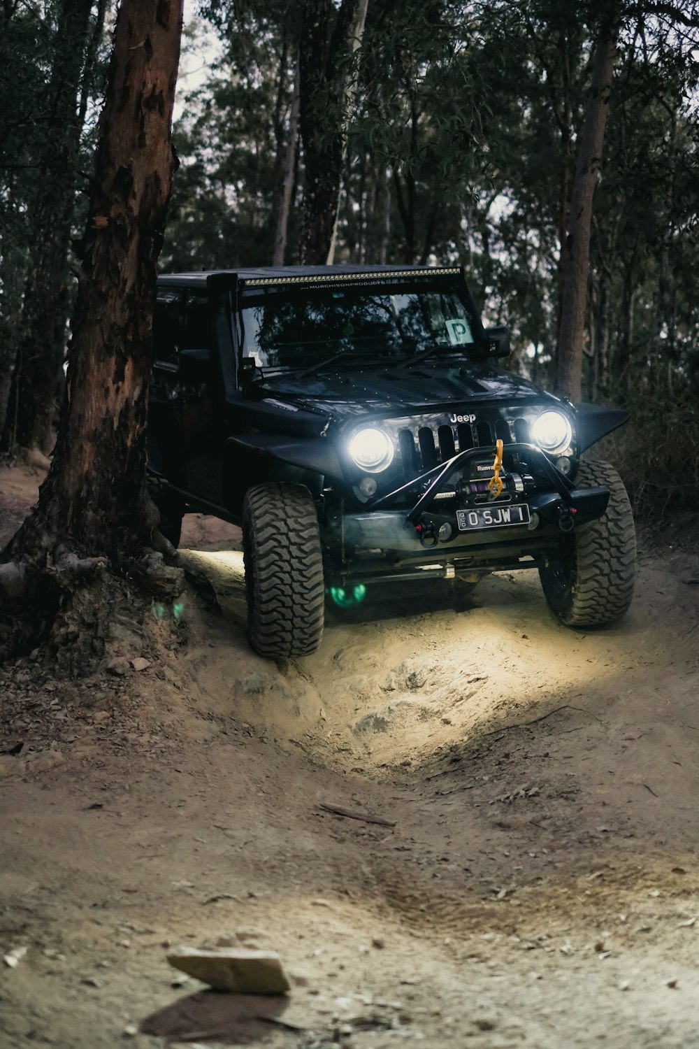 a jeep driving through the woods on a trail