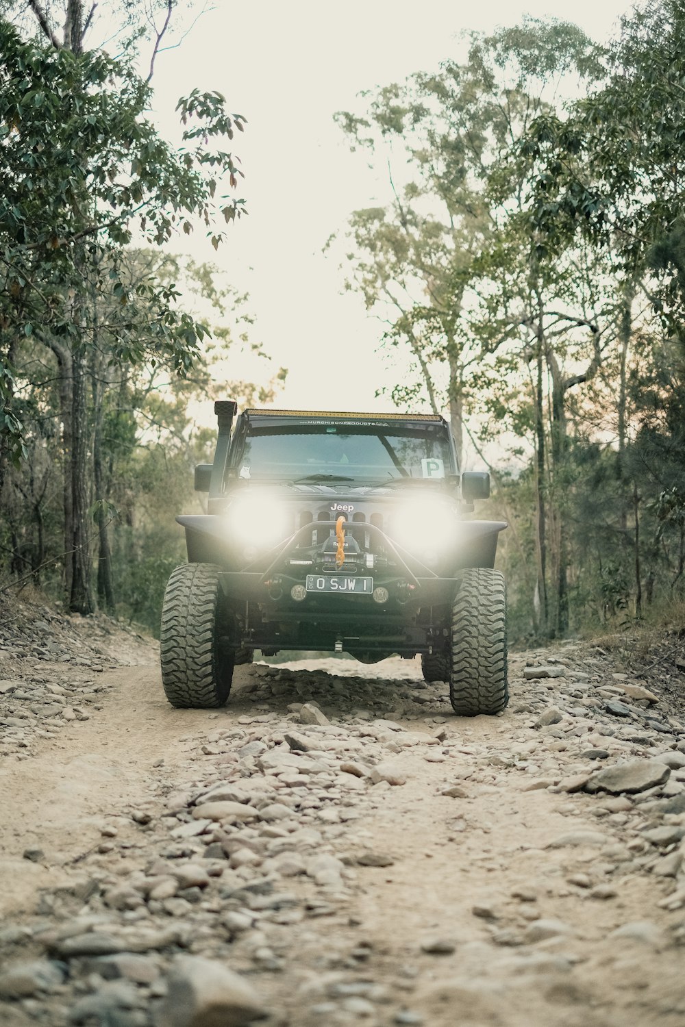 a jeep driving down a dirt road in the woods