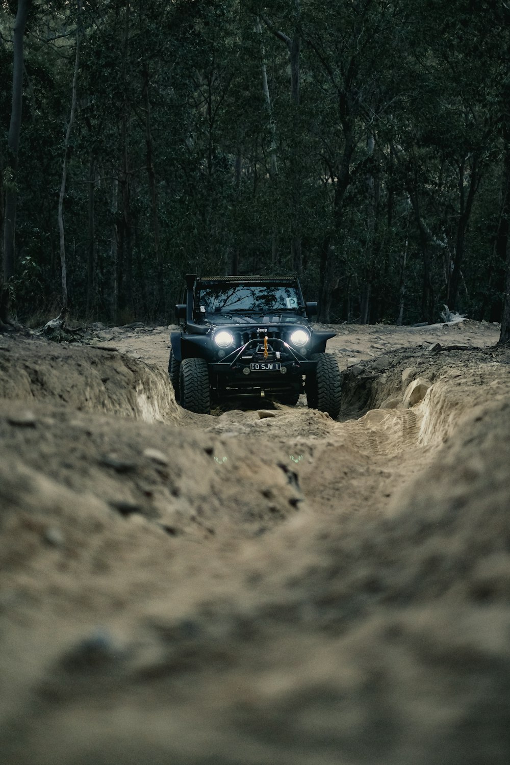 a jeep driving down a dirt road in the woods