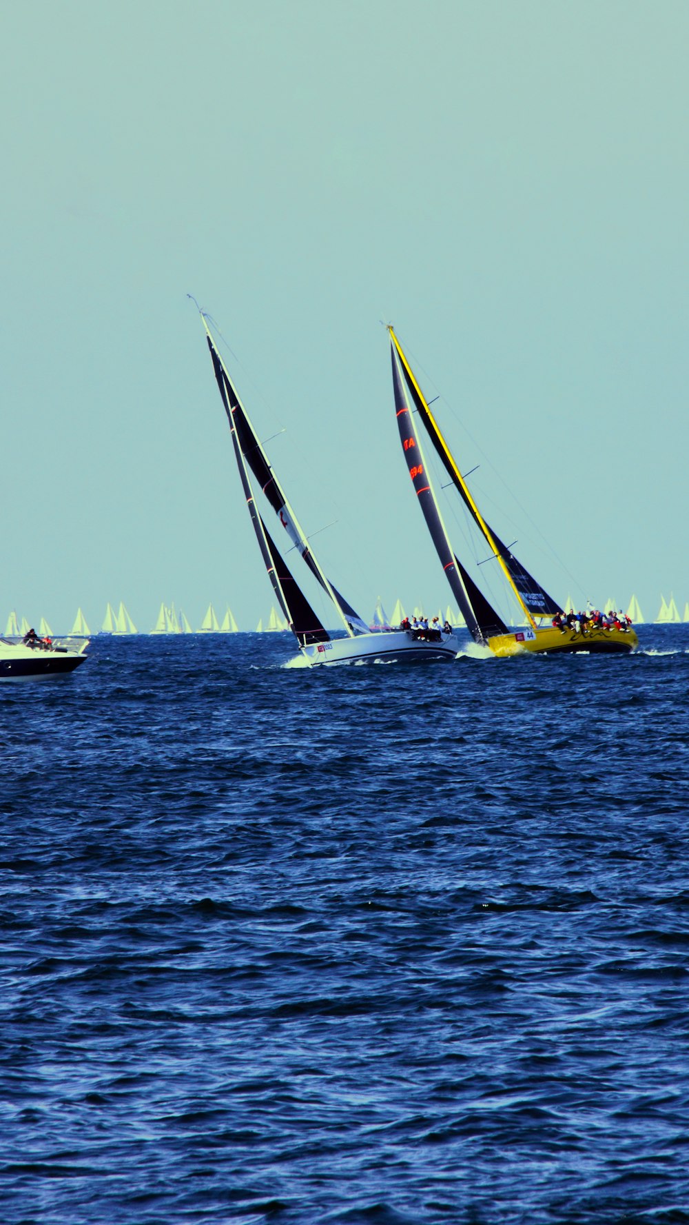 a group of sailboats sailing on a large body of water