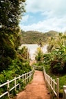 a path leading to a beach with palm trees