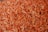 A large pile of dried shrimp with a vibrant orange color, showcasing a texture that appears slightly crispy. The shrimp are small in size and densely packed together, covering the entire image frame.