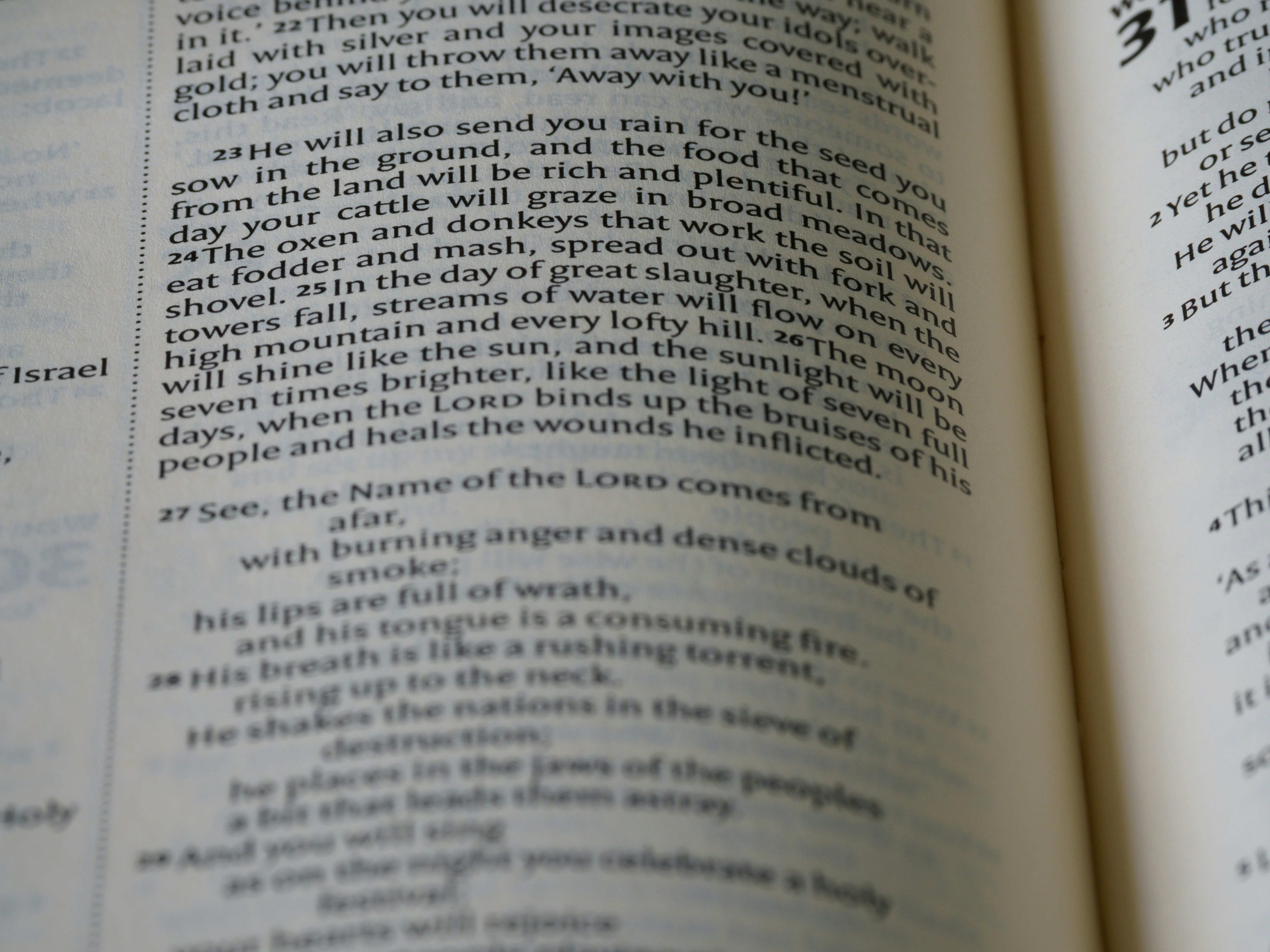 Photo by brett_jordan