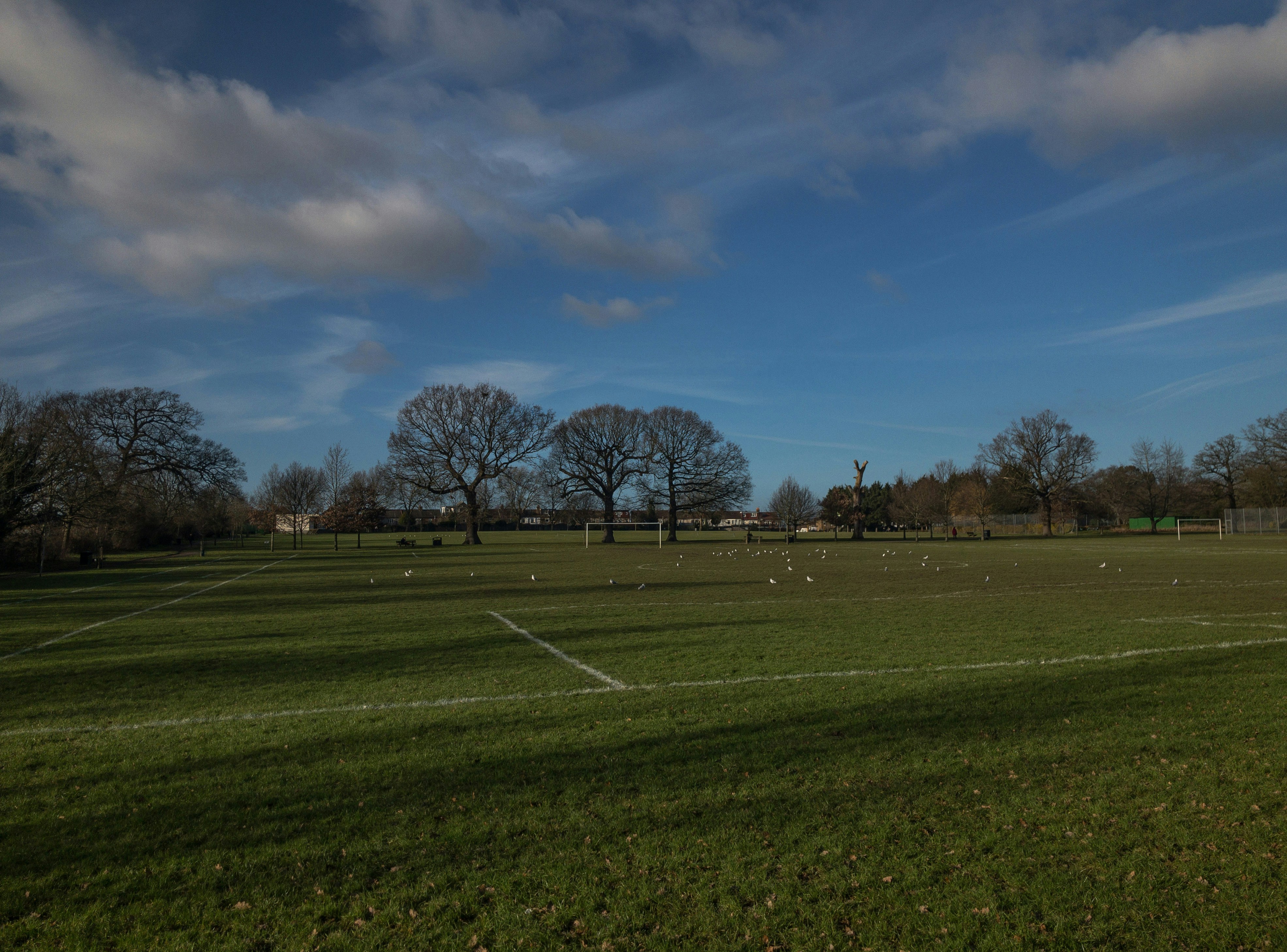 Photo by brett_jordan