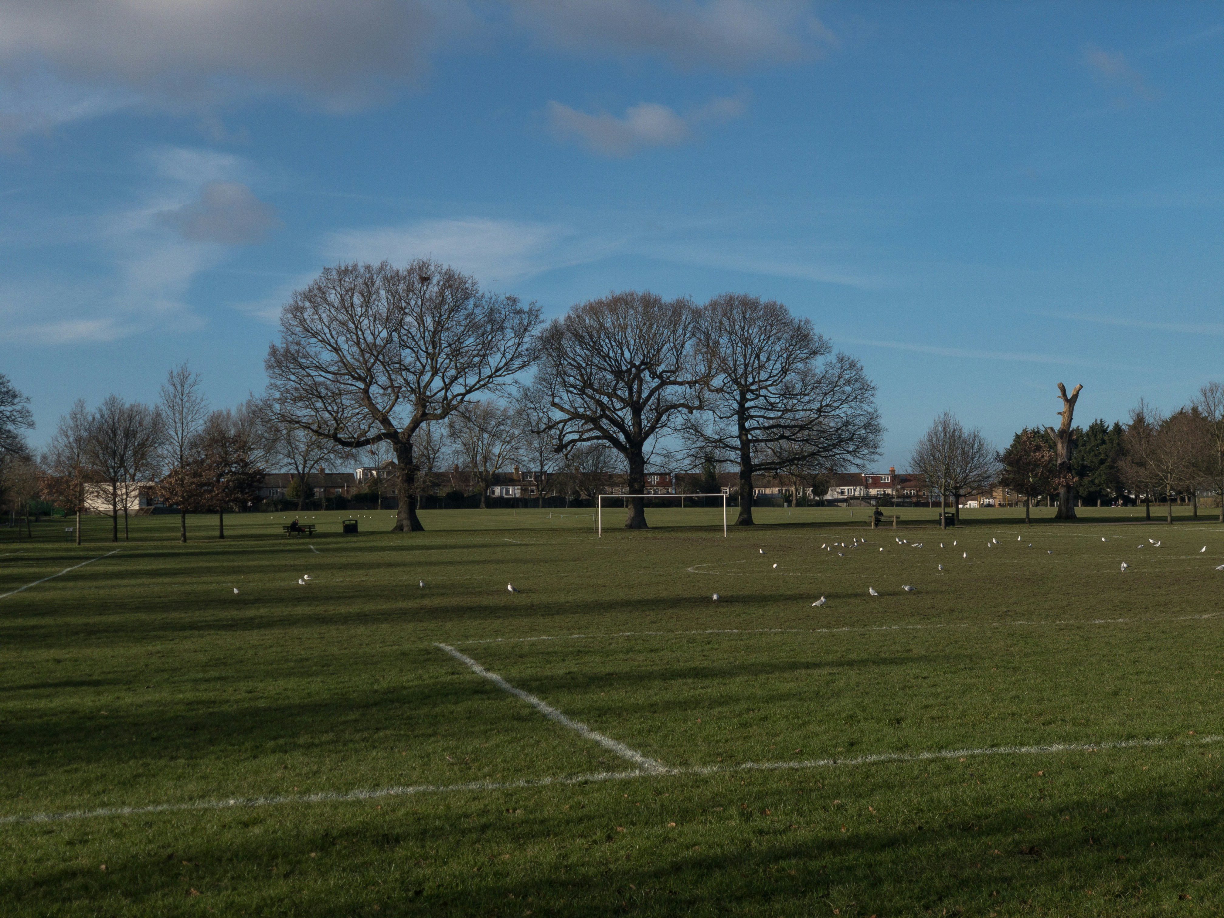 Photo by brett_jordan