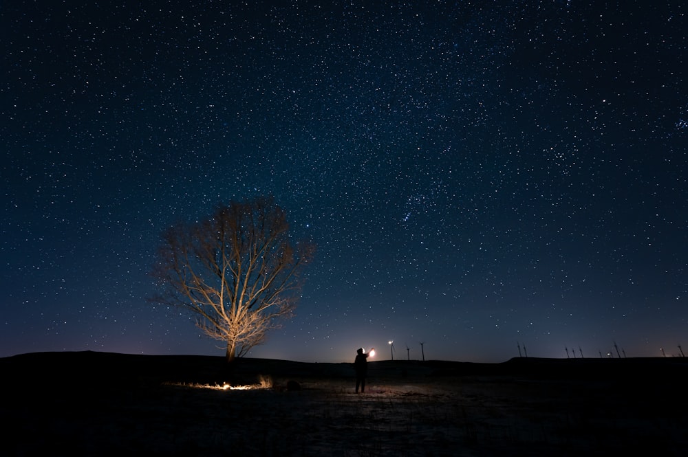 a person standing under a tree at night